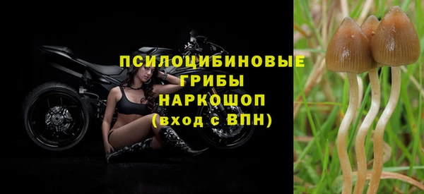 мескалин Беломорск