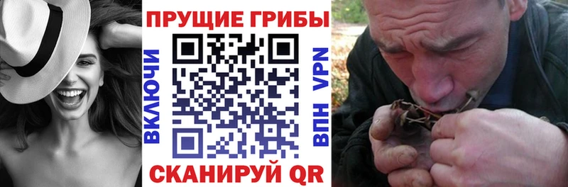 Галлюциногенные грибы GOLDEN TEACHER  наркота  Славгород 